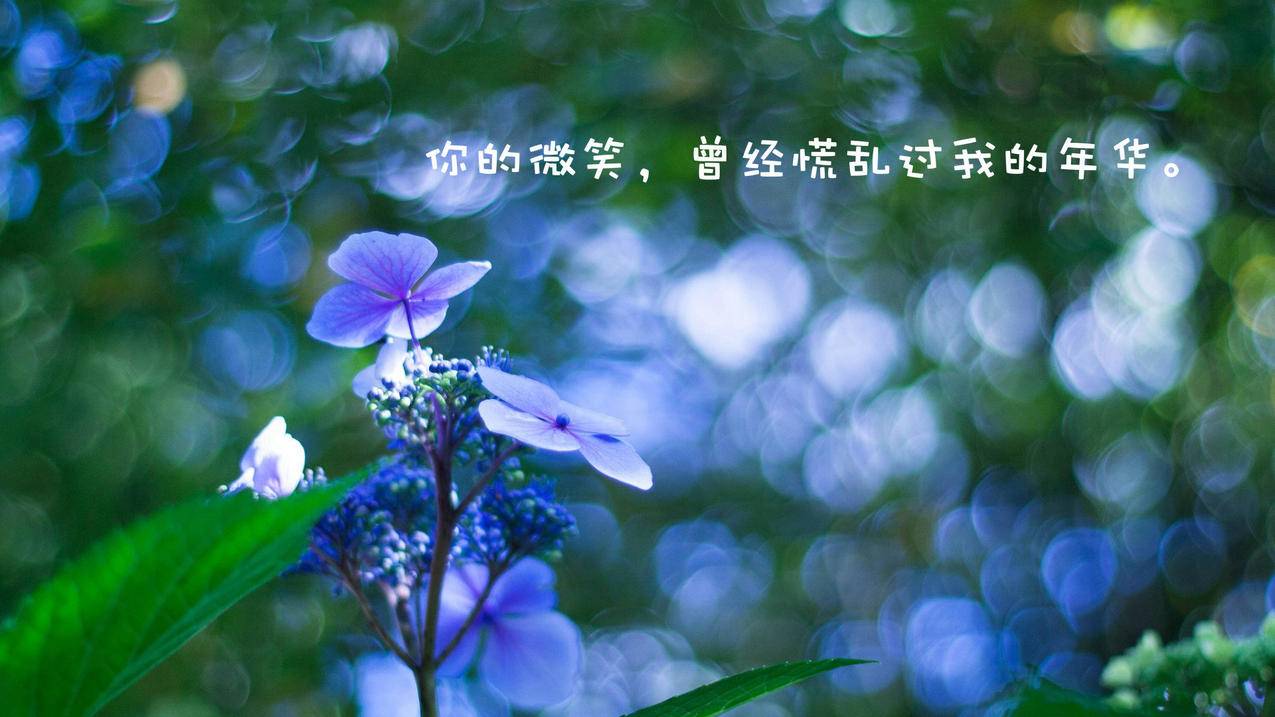 dy点赞充值秒到账,qq资料卡点赞购买网站,qq空间访客量在线刷